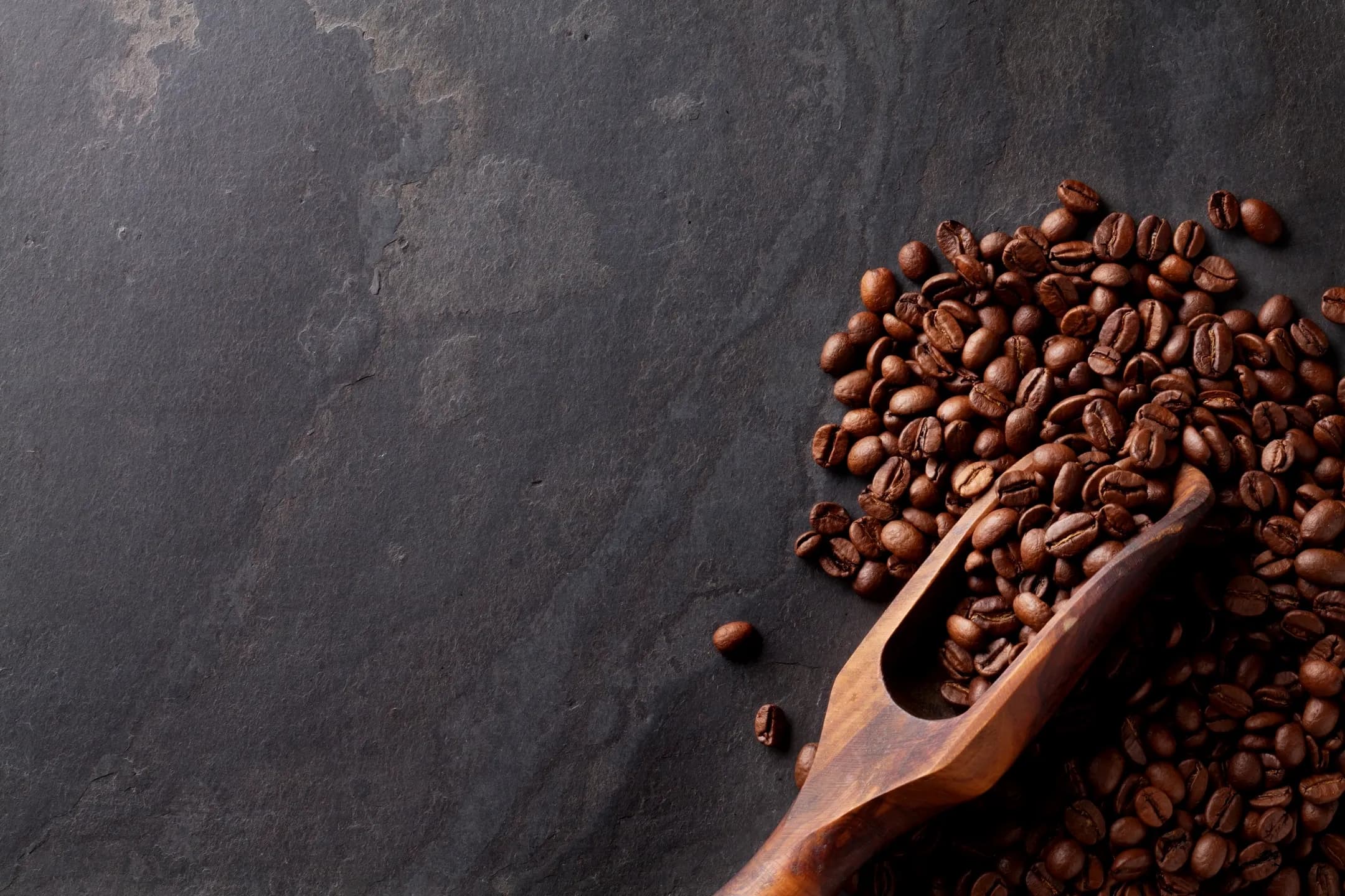BARDA Roasters - Coffee shop