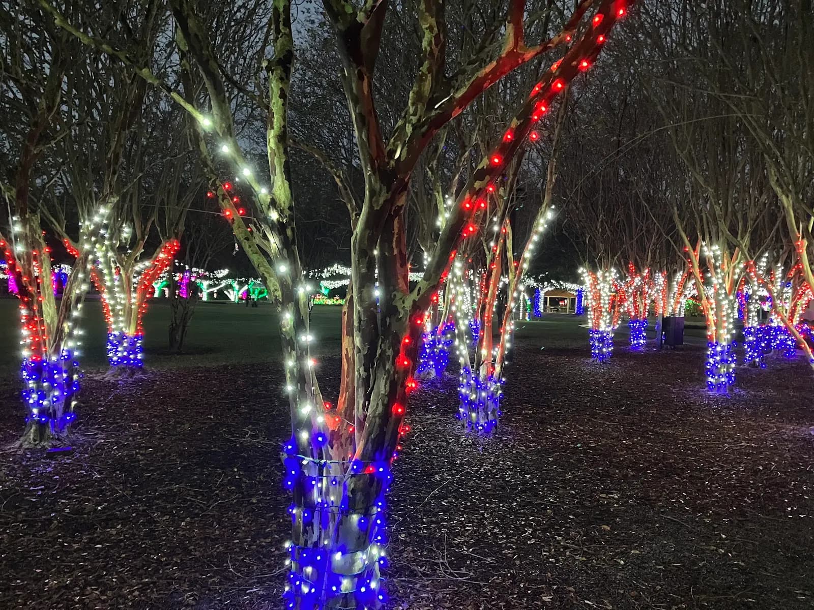 Largo Central Park - Attraction