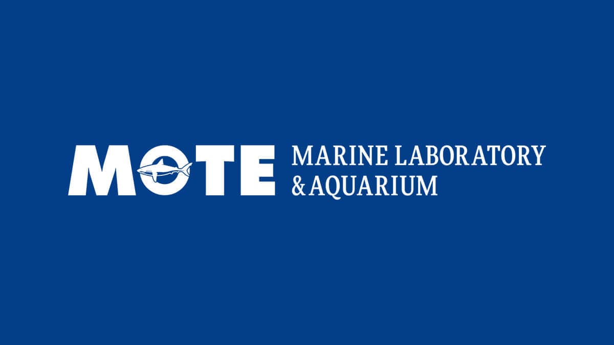 Mote Marine Laboratory & Aquarium (Mote SEA) - Attraction