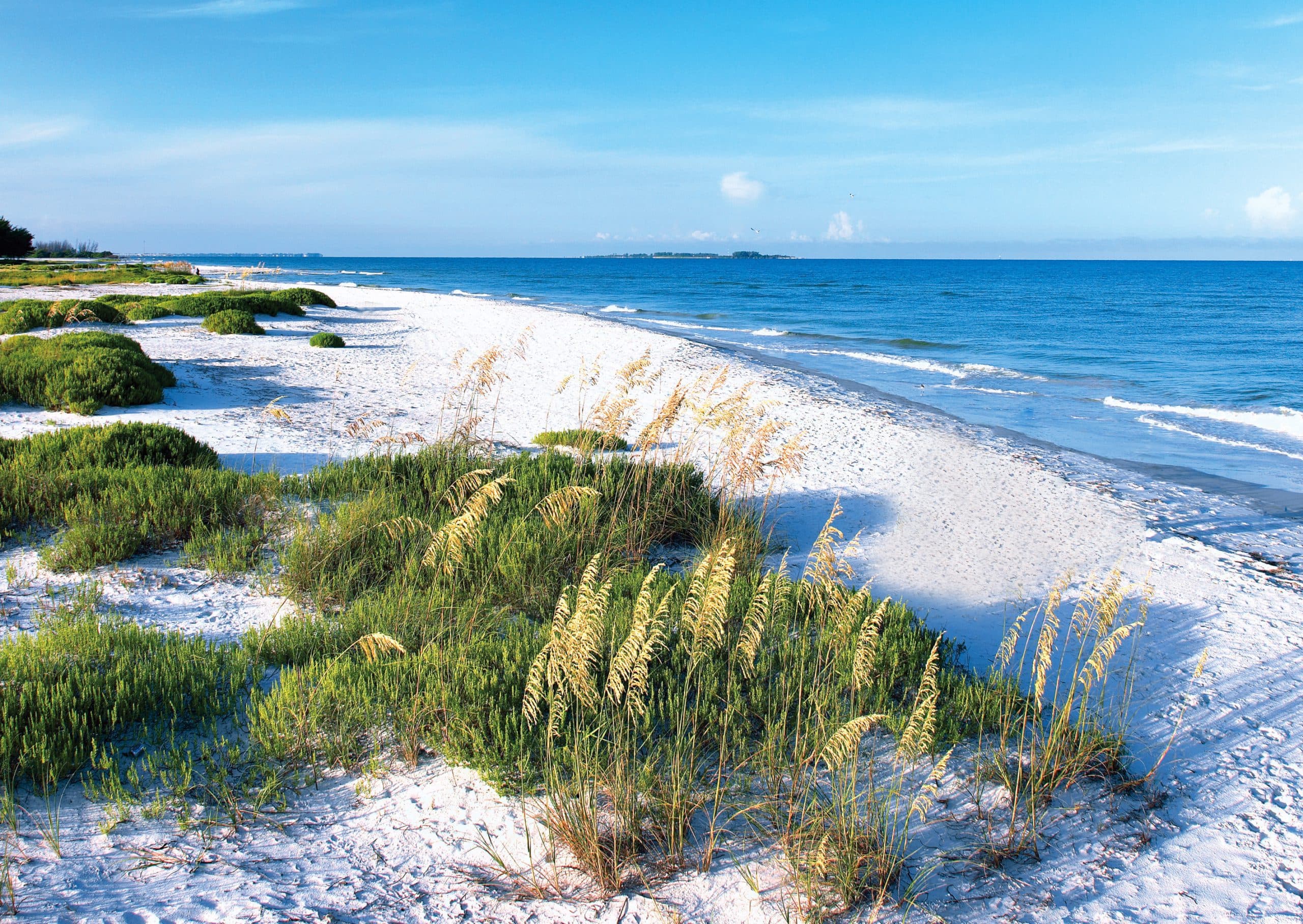 Clearwater Beach Access Points - Beach