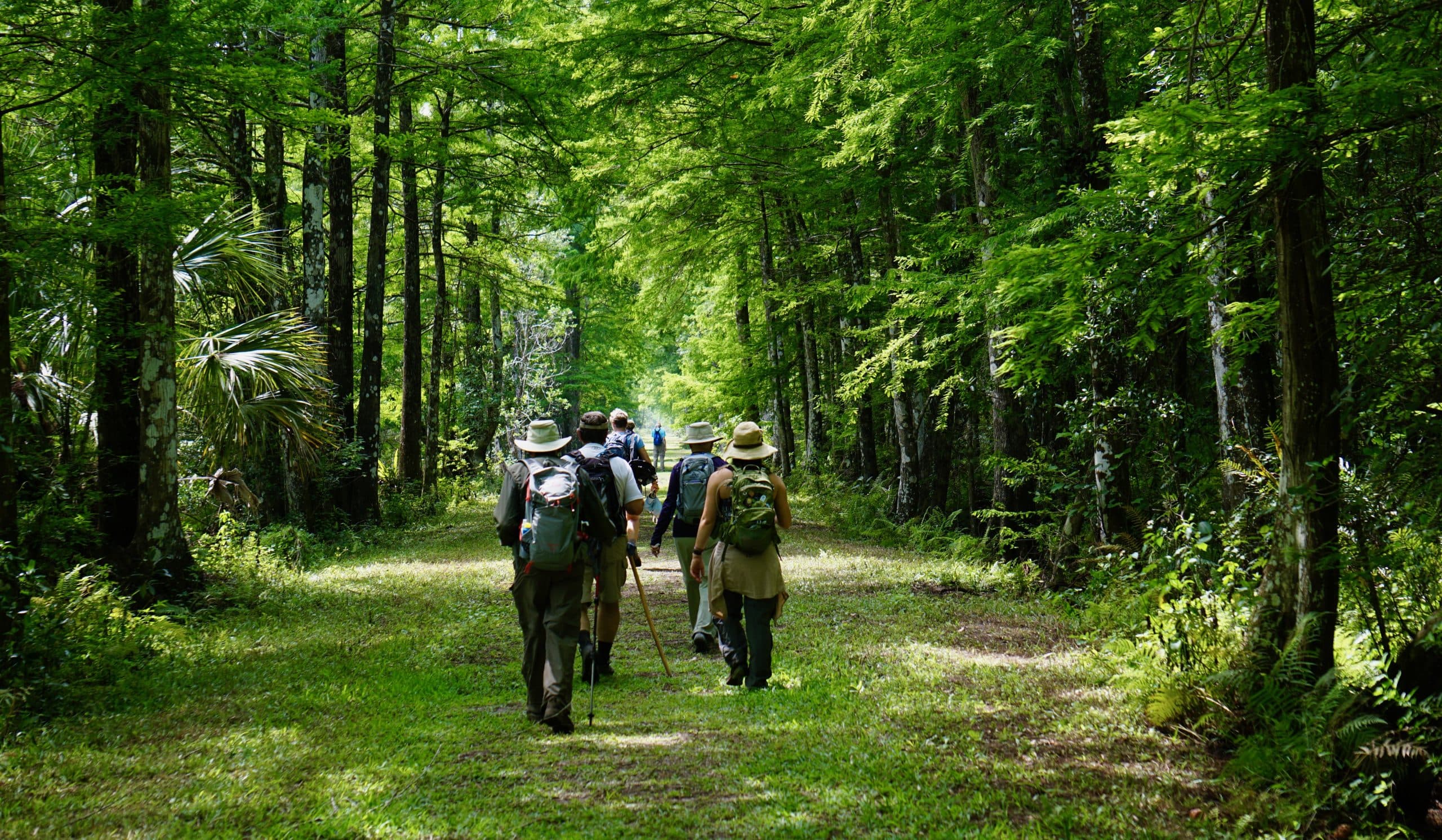 CREW Bird Rookery Swamp Trail - Attraction