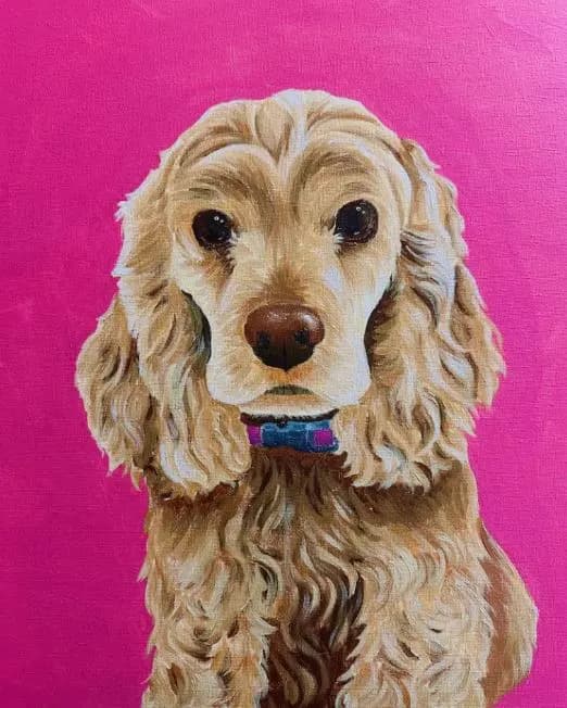 Paint Your Pet – Rags to Riches Pet Fundraiser in Tampa