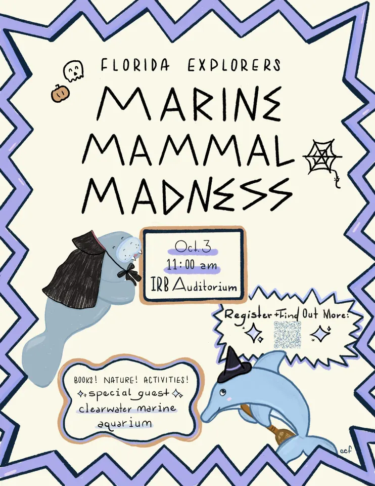 Florida Explorers: Marine Mammal Madness in Outside Tampa Bay