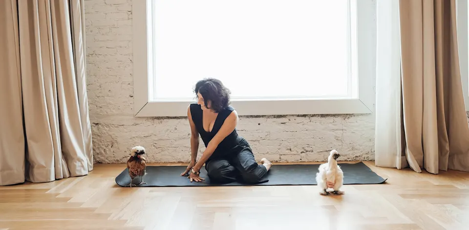Chicken Yoga with Yoga Loft Tampa benefiting the Ybor Misfits in Tampa