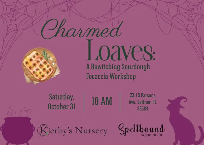 Charmed Loaves: A Bewitching Sourdough Focaccia Workshop at Kerby’s Nursery in Brandon