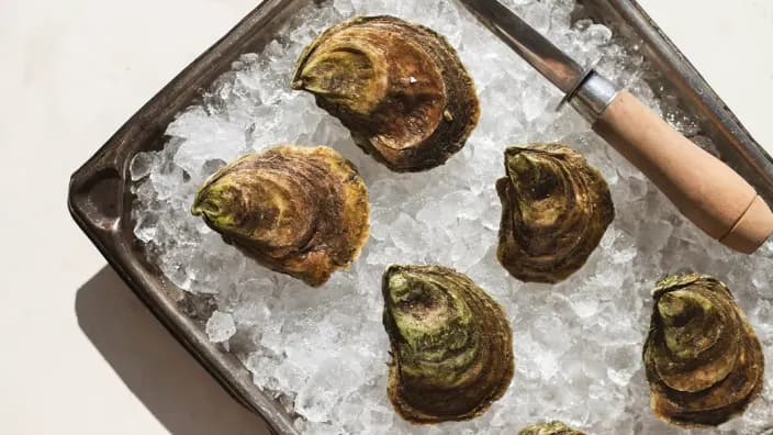 Oyster Shucking Class in Tampa