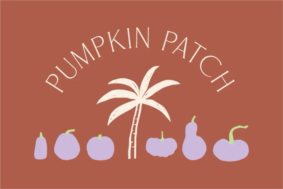 Hyde Park Village Pumpkin Patch in Tampa