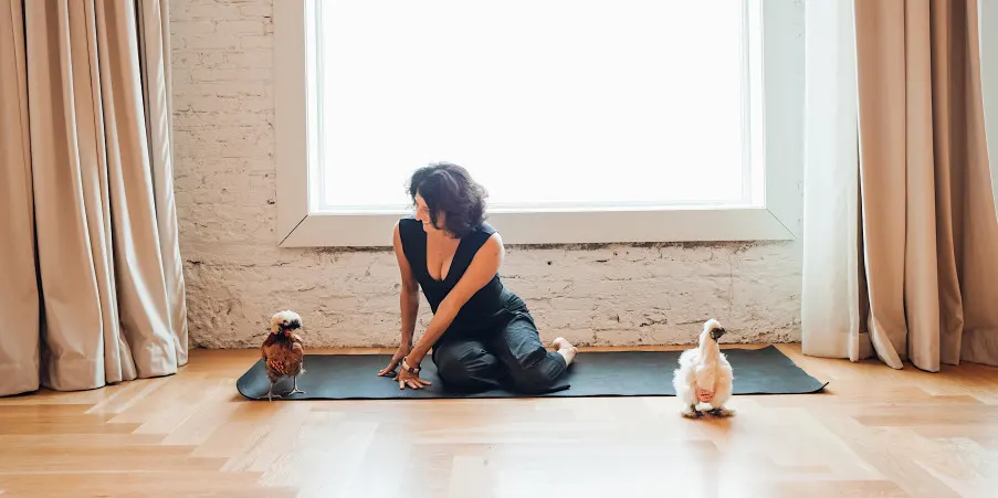 Chicken Yoga with Yoga Loft Tampa benefiting the Ybor Misfits in Tampa