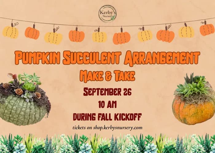 Pumpkin Succulent Arrangement Make & Take at Kerby’s Nursery in Outside Tampa Bay