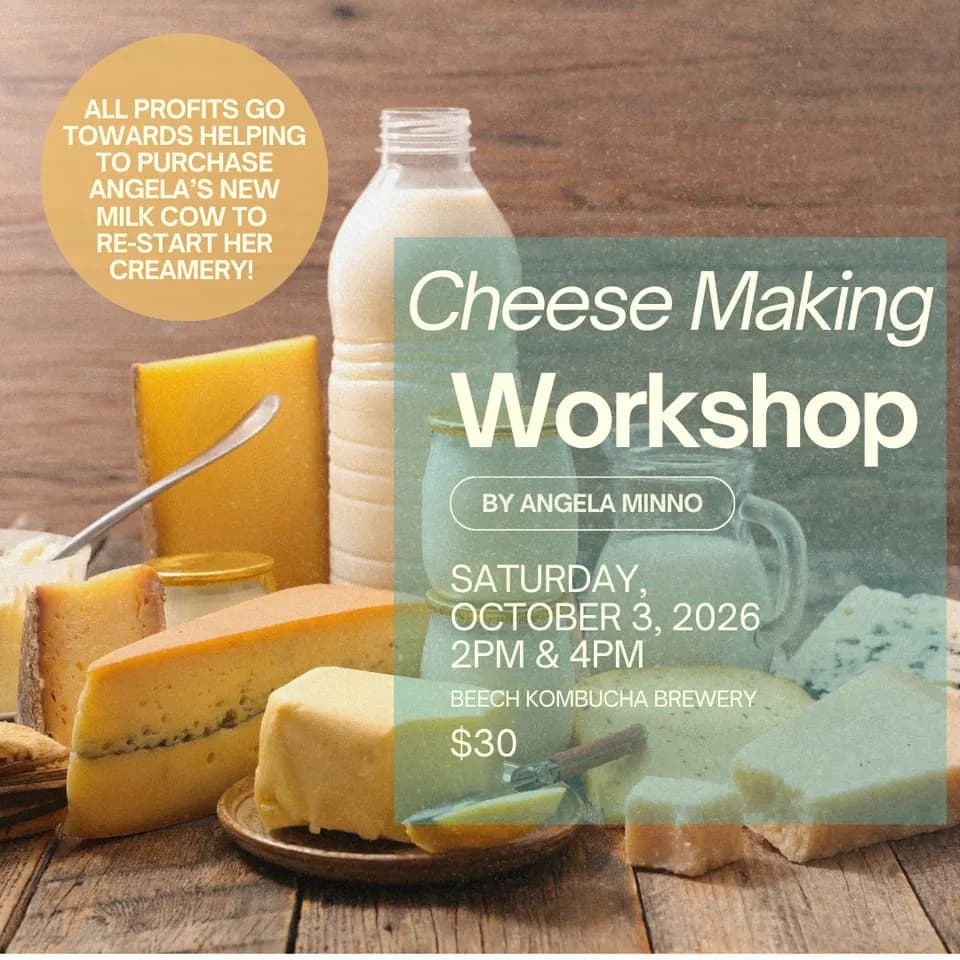 Cheesemaking Class in St. Petersburg