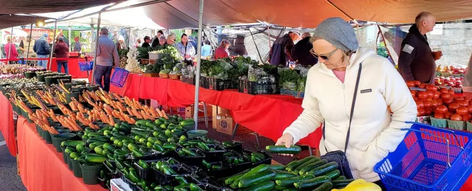 Corey Ave Sunday Fresh Market in St. Petersburg
