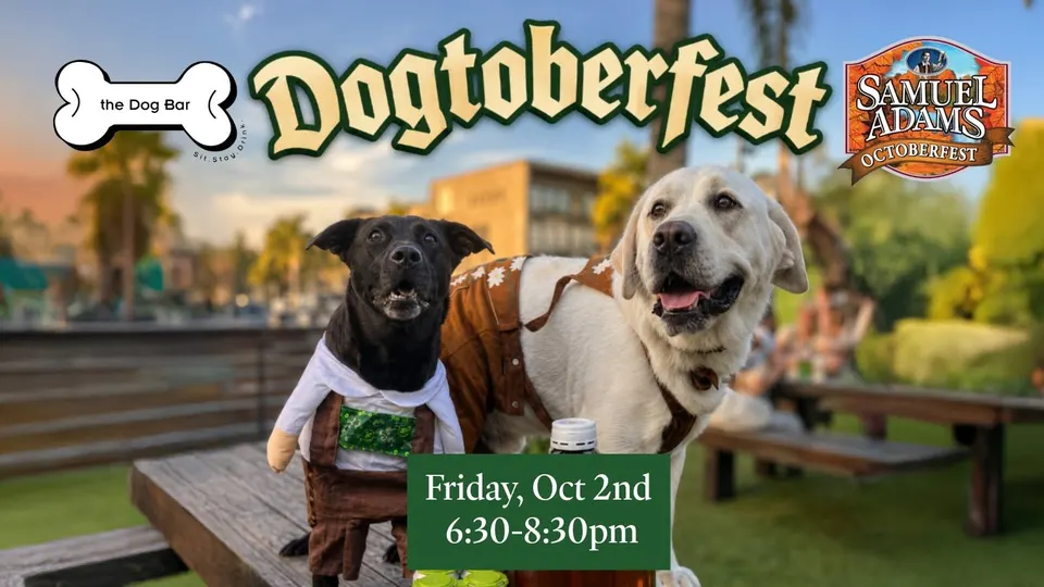 Dogtoberfest in St. Petersburg