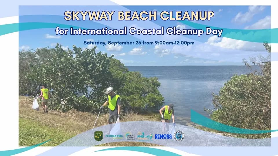 International Coastal Cleanup in St. Petersburg