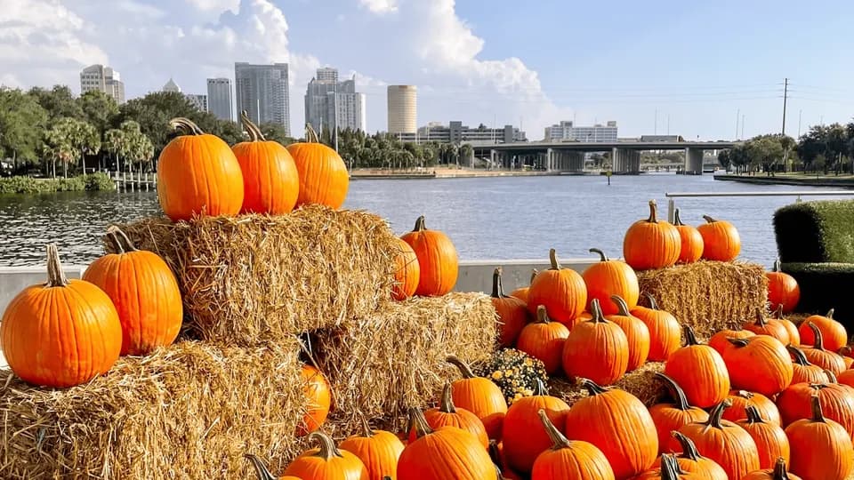 Armature Works Fall Festival in Tampa