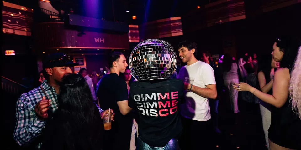 Gimme Gimme Disco in Tampa