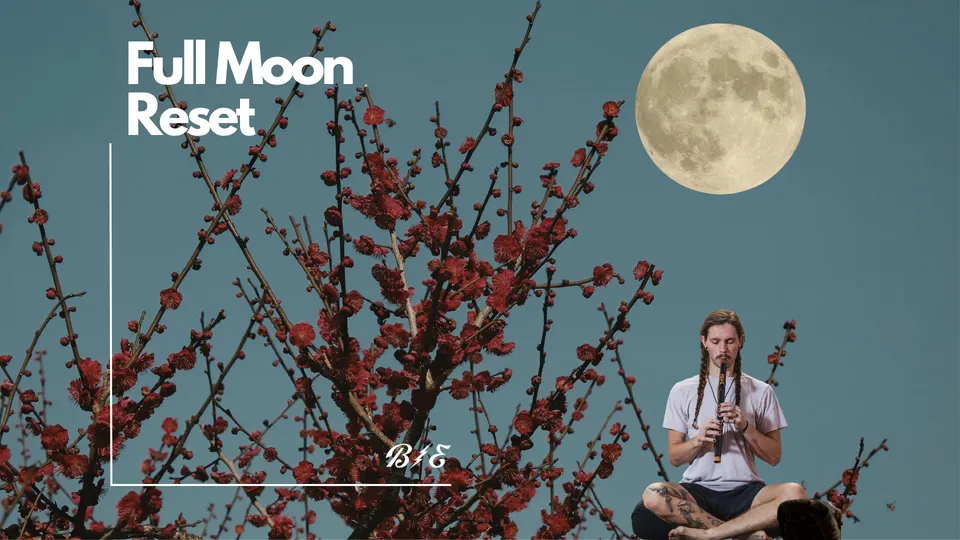 Full Moon Reset in St. Petersburg