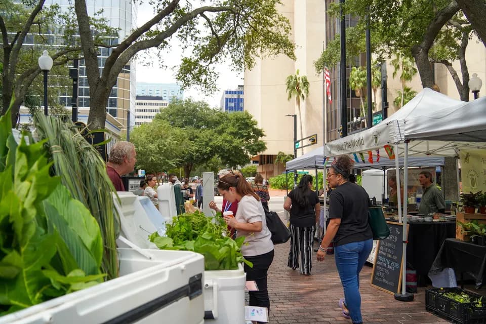 Downtown’s Backyard Market in Tampa