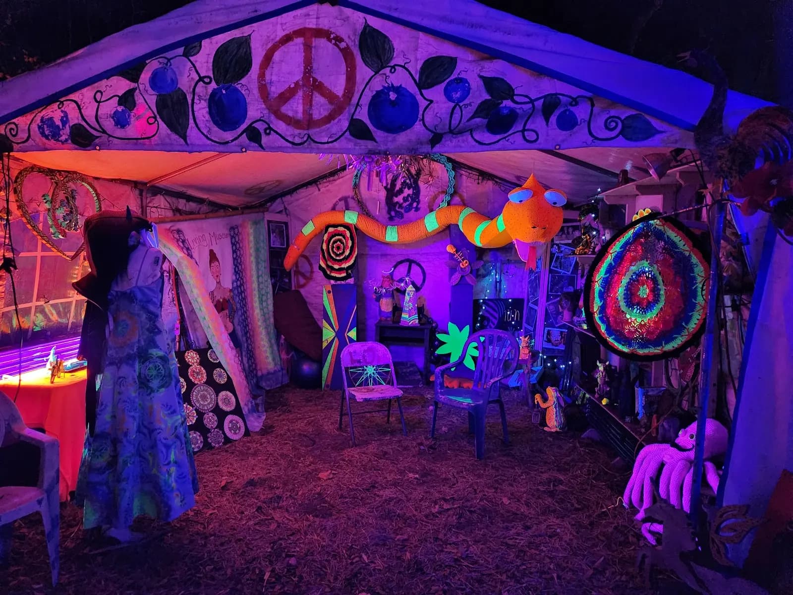 Blueberry Patch - Venue