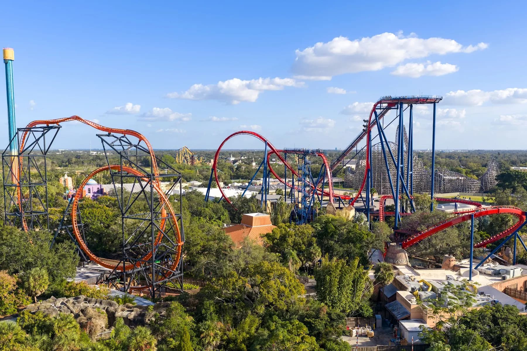 Busch Gardens Tampa Bay - Attraction