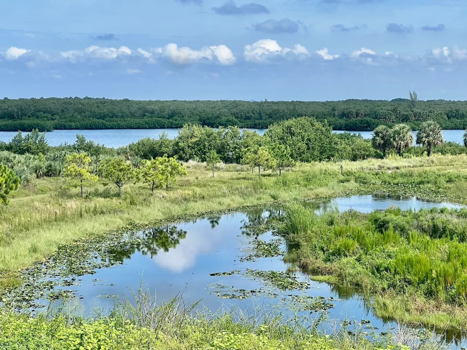 Cockroach Bay Aquatic Preserve - Beach