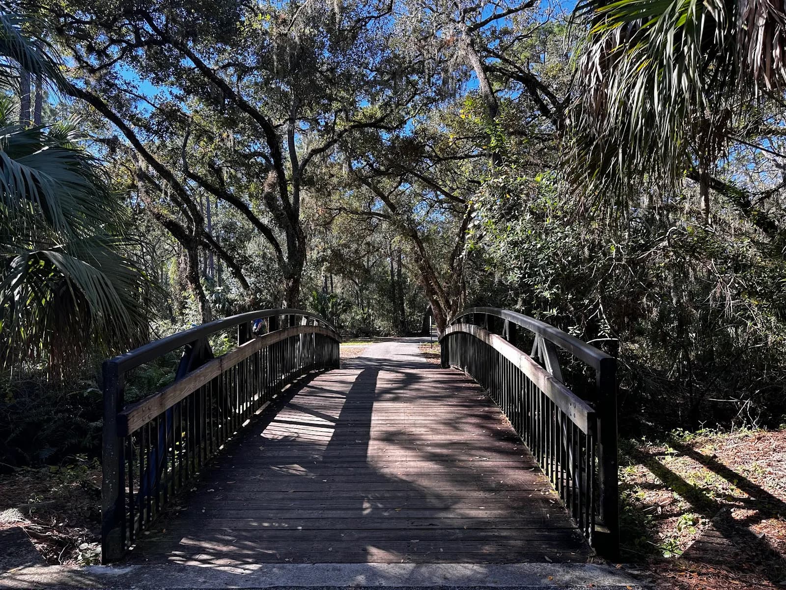 Conservatory Park - Park