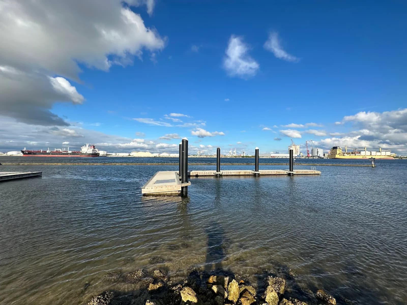 Davis Island Boat Ramp & Dog Park - Beach