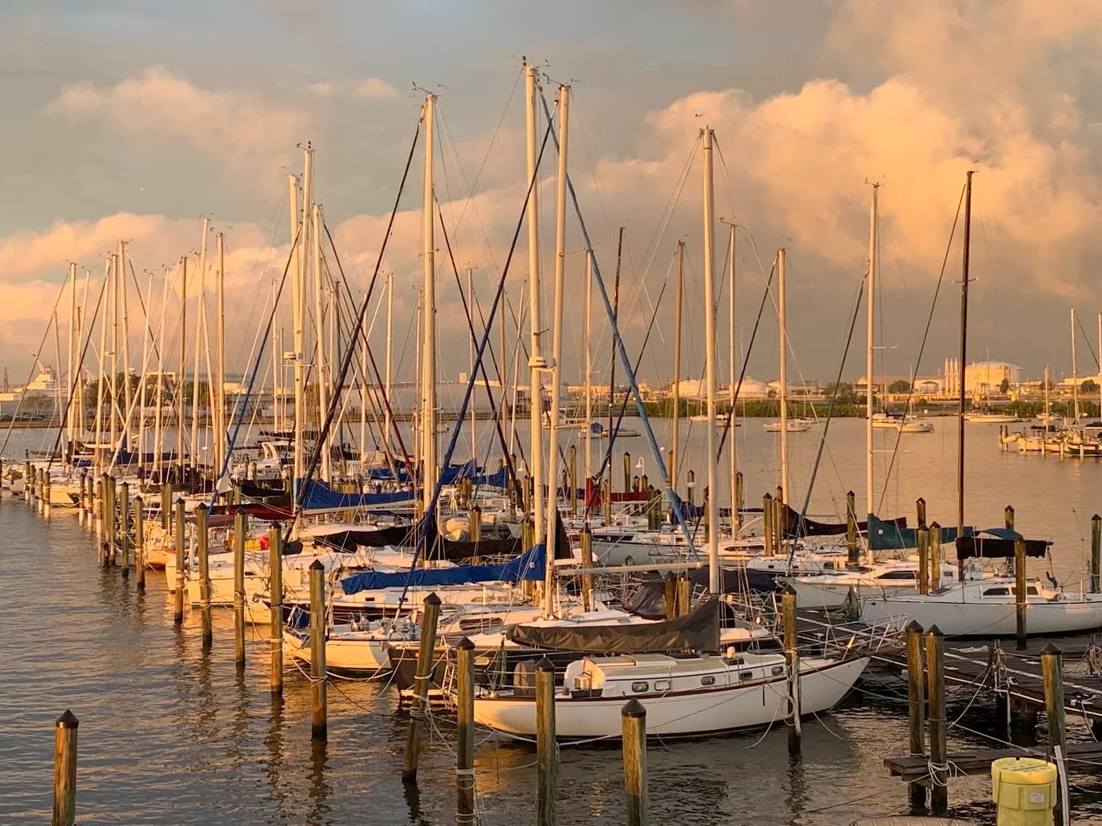 Davis Island Yacht Club - Attraction