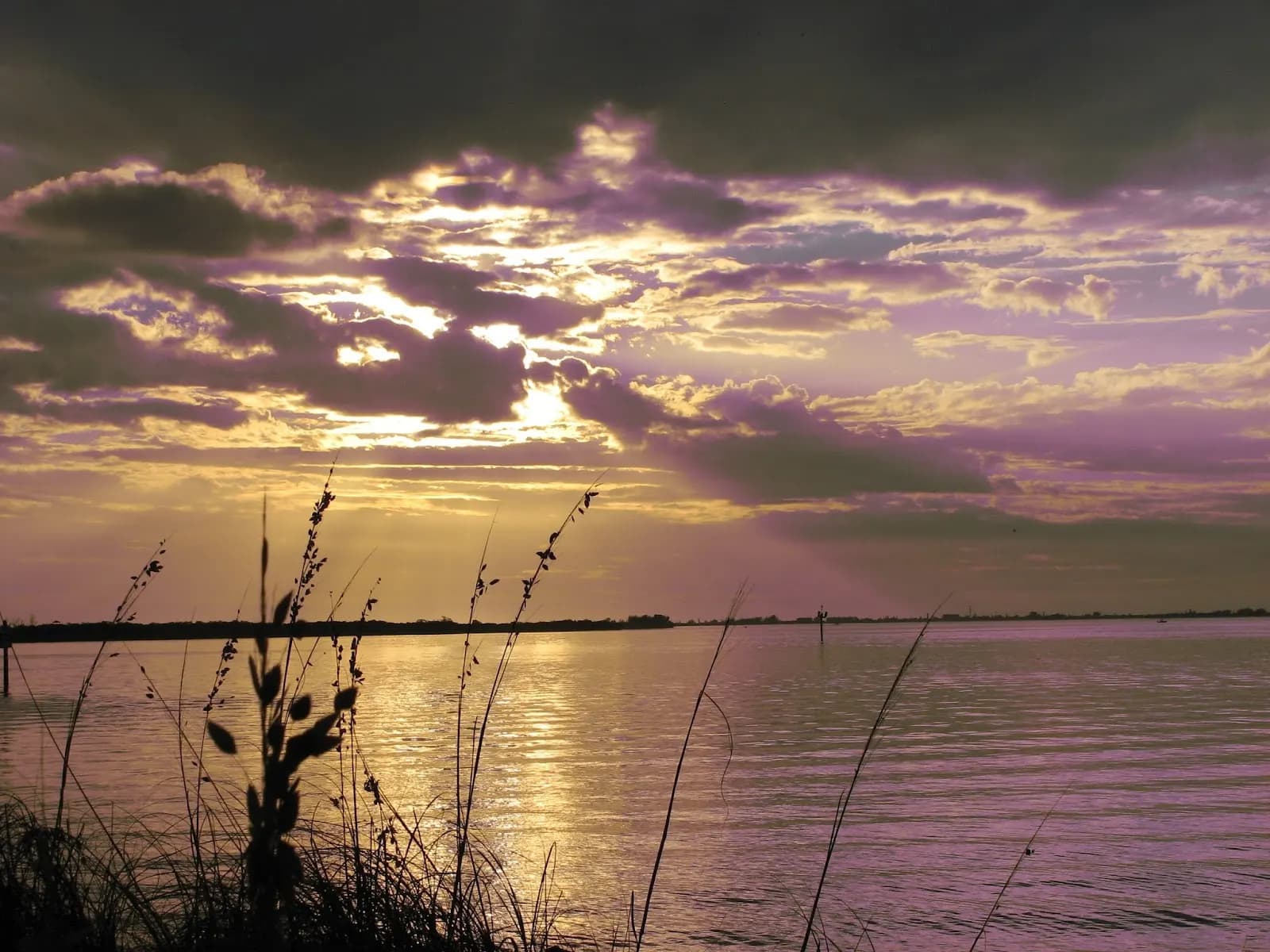 Emerson Point Preserve - Beach