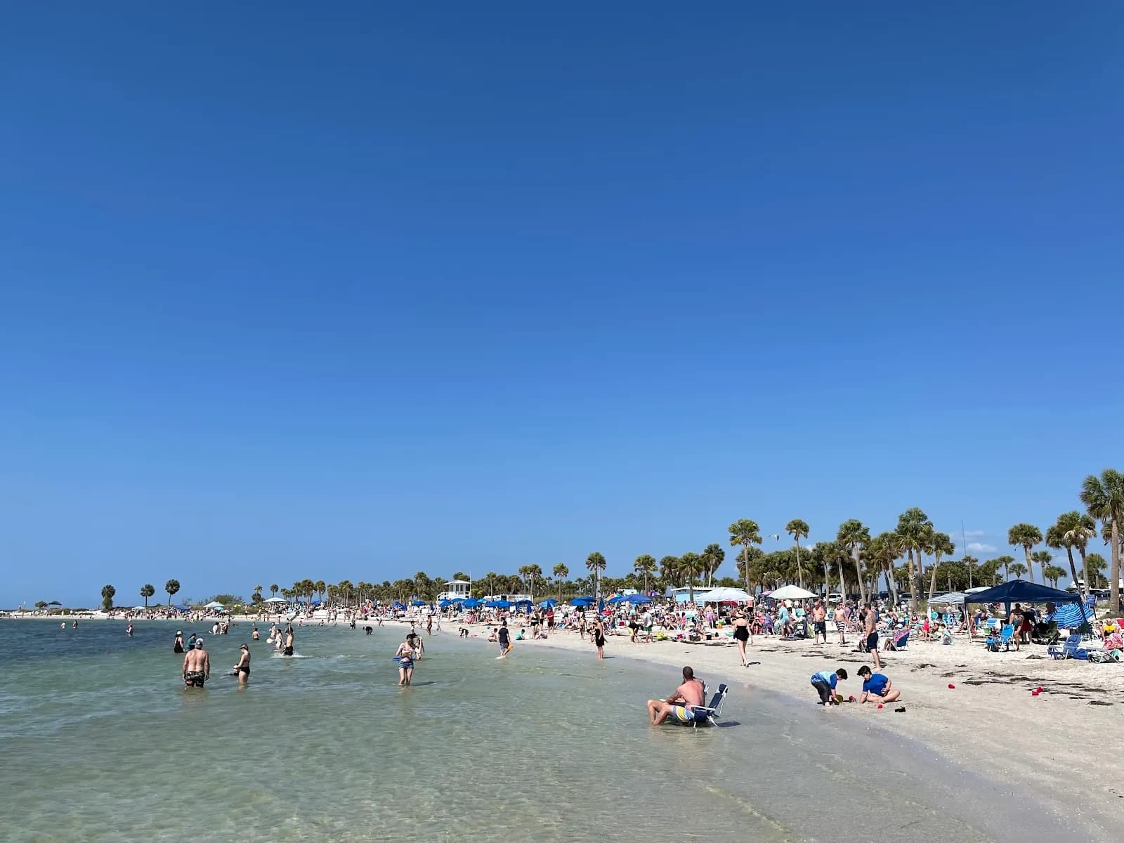 Fred Howard Park - Beach