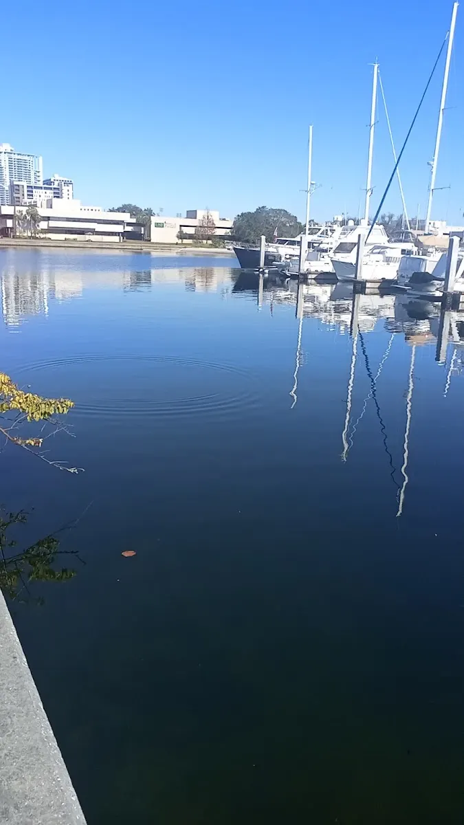 Harbor Hall | University of South Florida St. Petersburg campus - Attraction