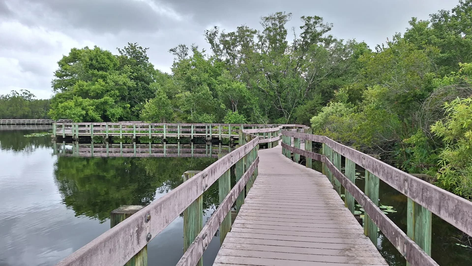 Largo Central Park Nature Preserve - Park