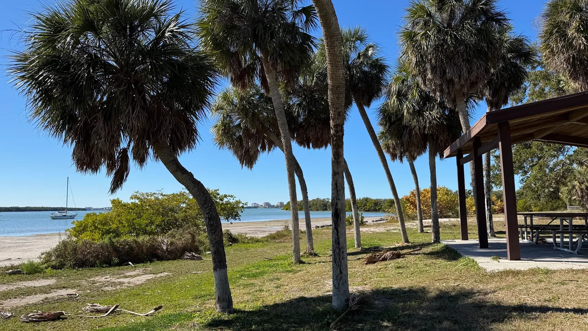 Maximo Beach - Beach