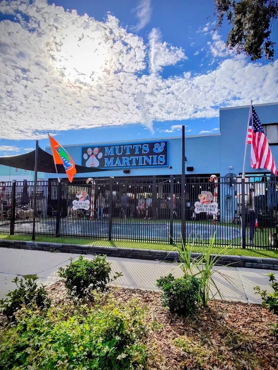 Mutts & Martinis on Central - Attraction