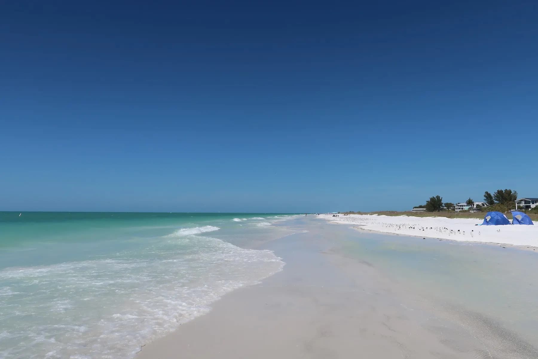 Palm Tree Beach Access - Beach