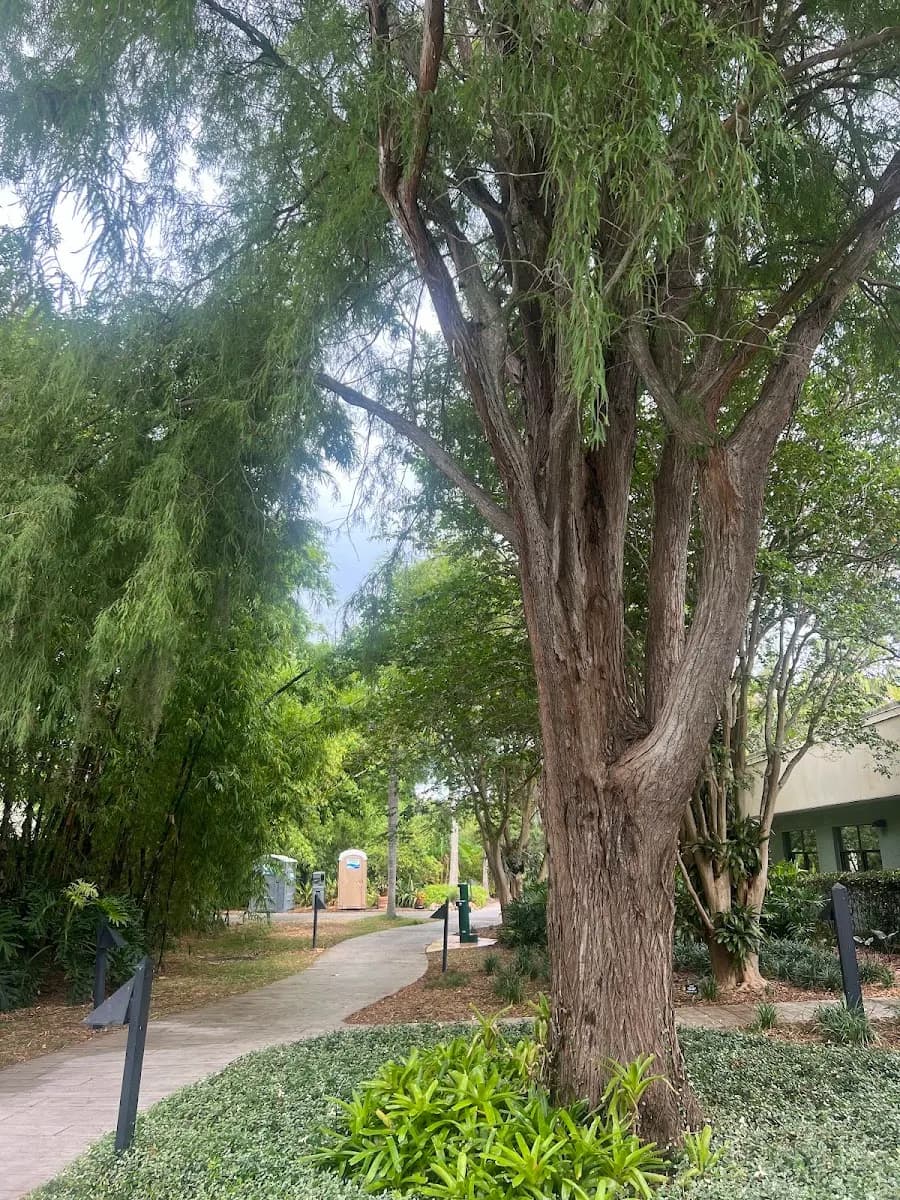 Pinellas County Parks & Conservation Resources - Beach