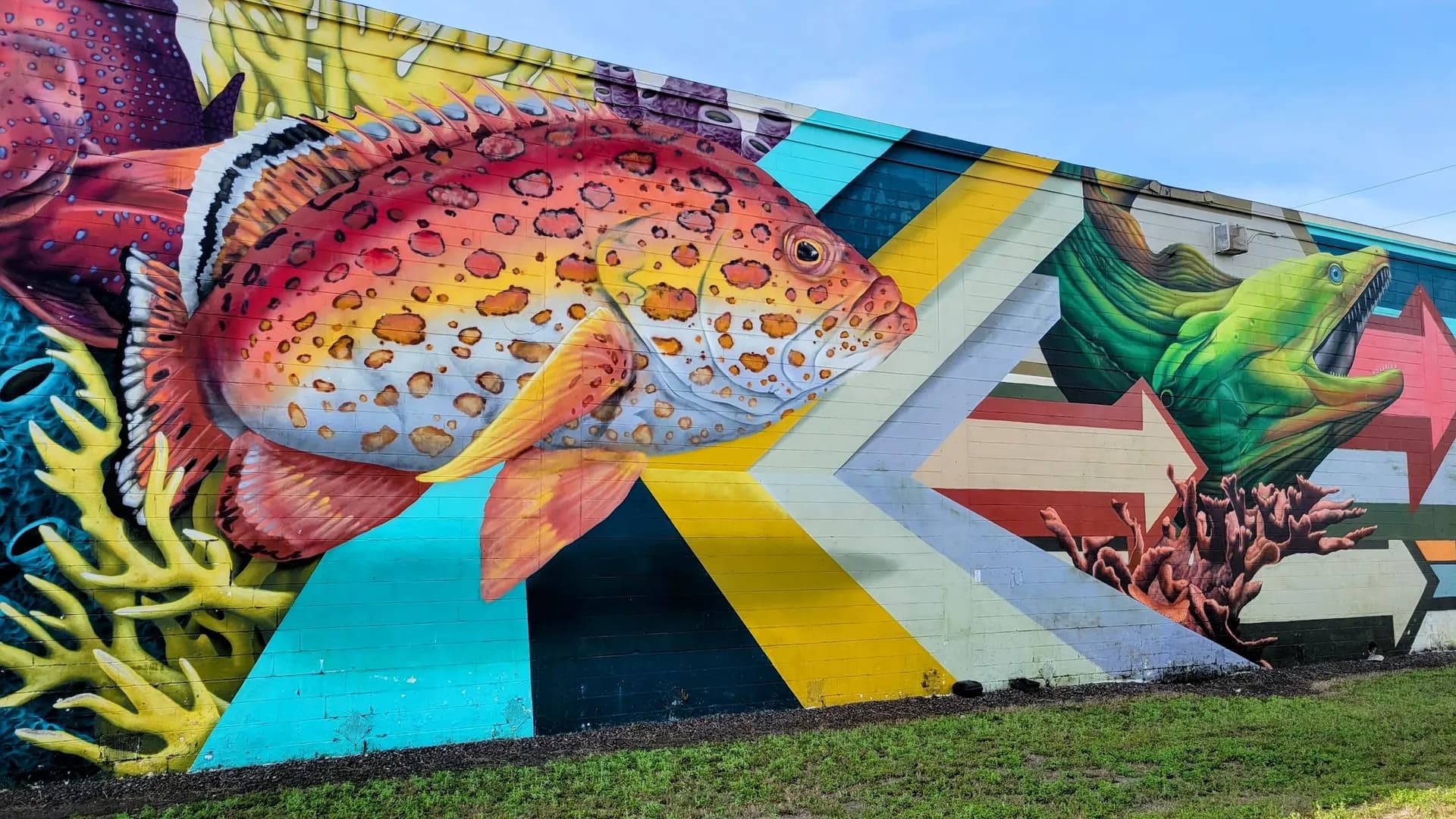 Pinellas Trail (urban trail corridor) - Attraction