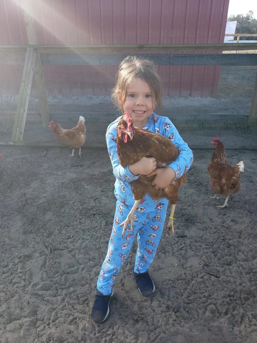 Raprager Family Farms - Attraction