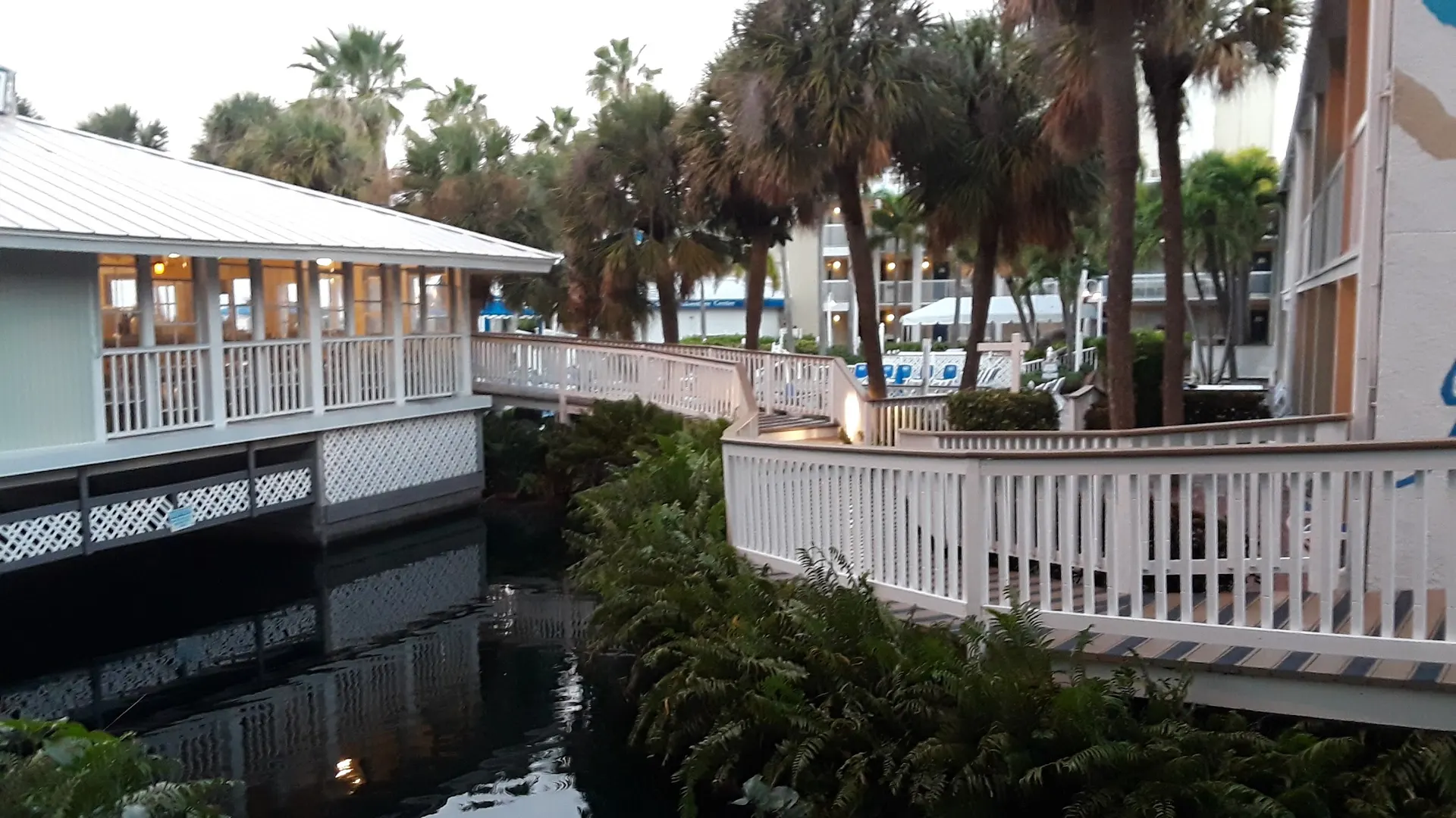 Sand Key Barrier Island (access corridor reference) - Beach