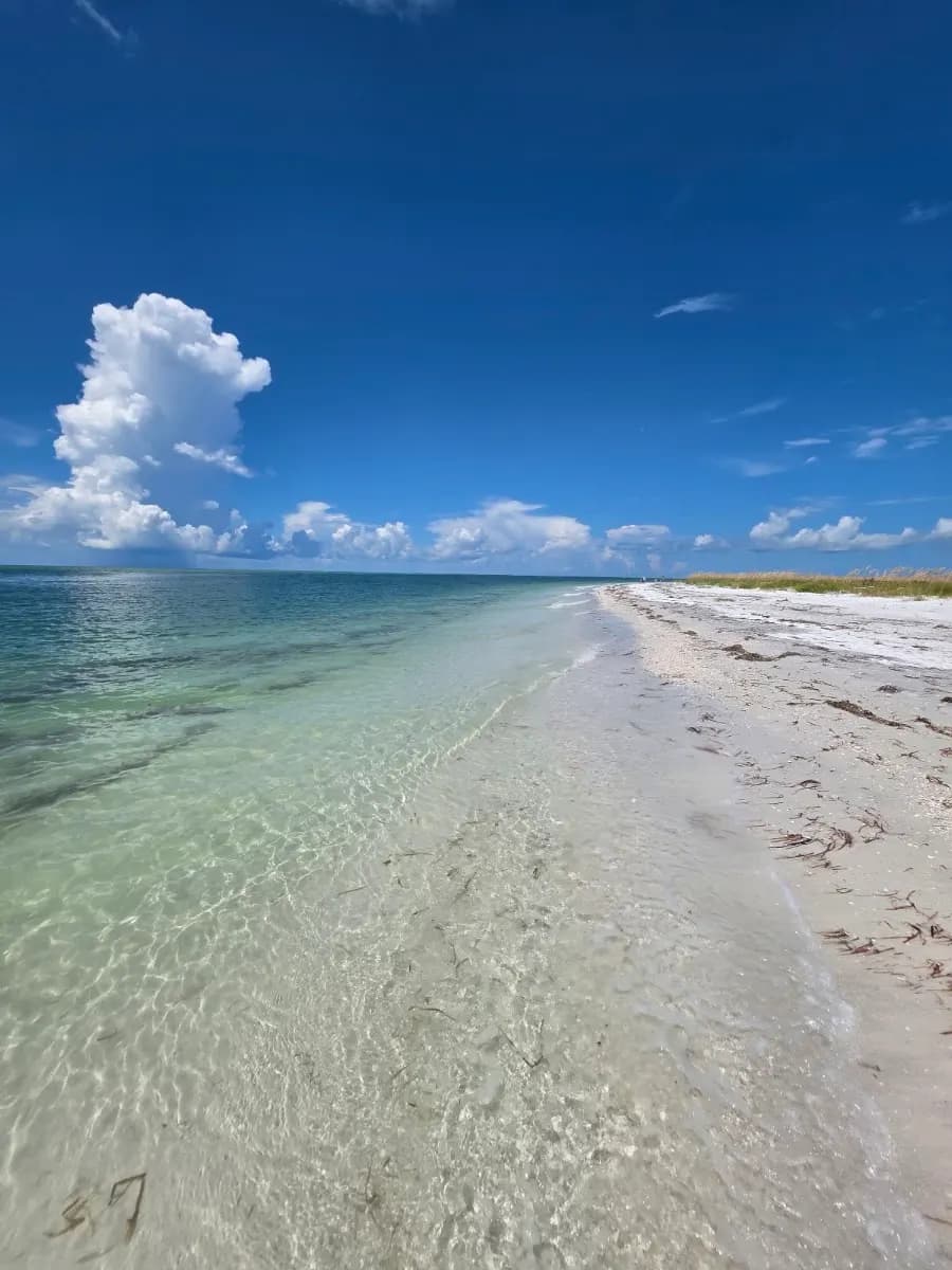 Shell Key Preserve (beach shoreline) - Beach