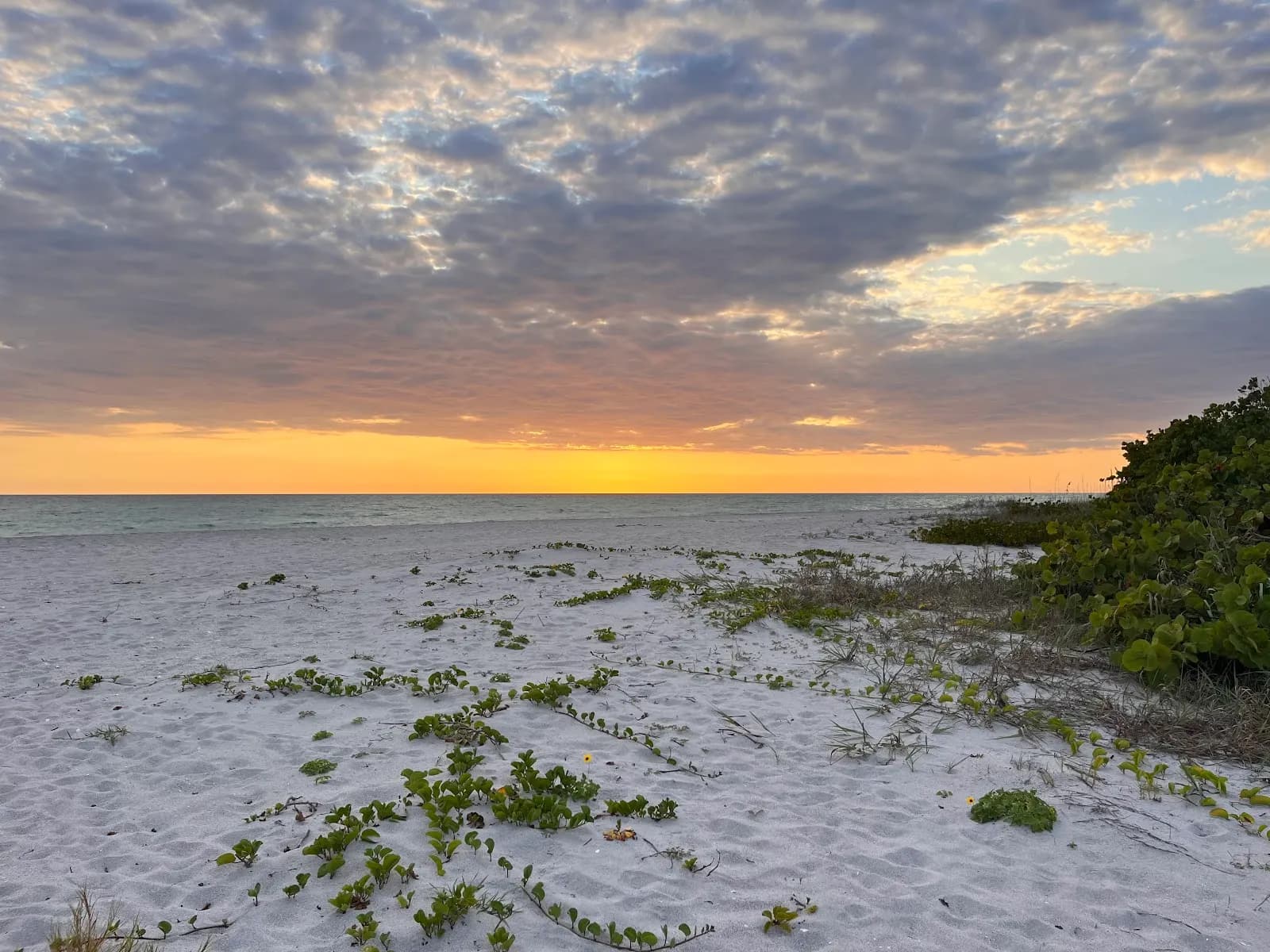 Stump Pass Beach State Park - Beach