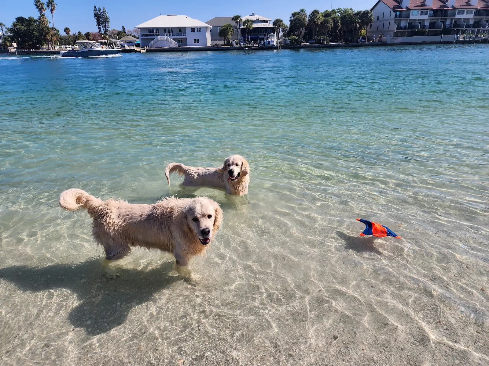 Sunset Beach Park (beach access between 81st and 82nd Ave & W Gulf Blvd), Treasure Island - Beach