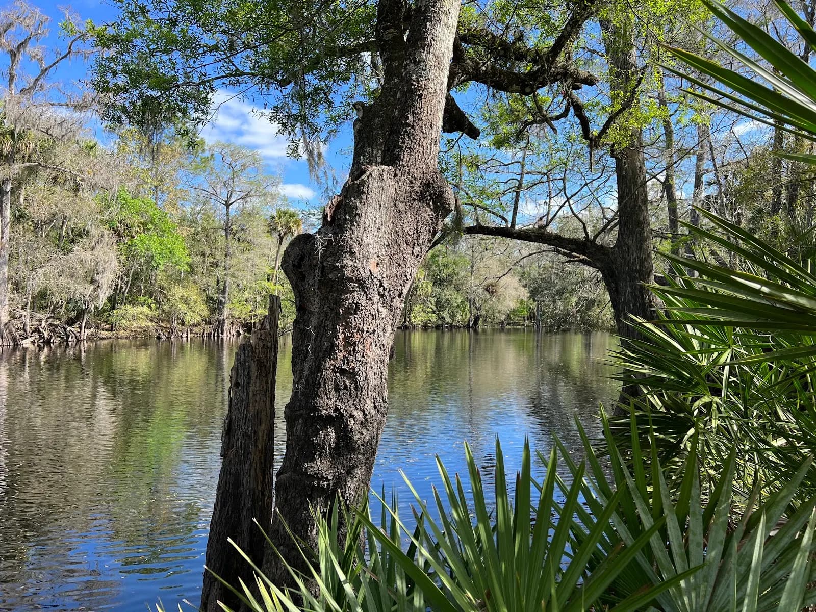 Trout Creek Conservation Park - Beach