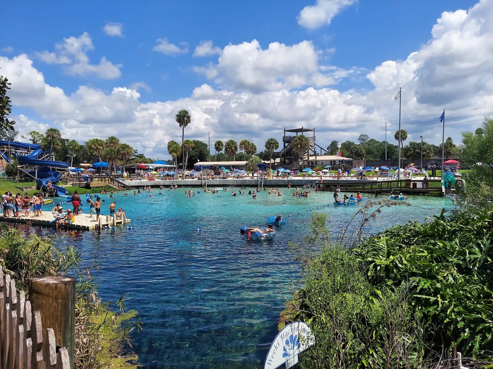 Weeki Wachee Springs State Park - Attraction